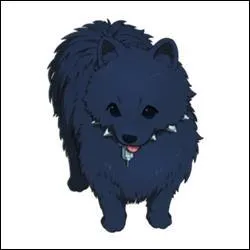 À qui appartient ce Allmate ?