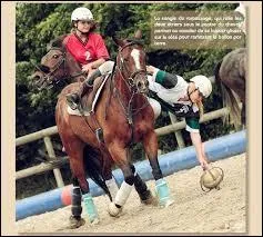 Quelle est la différence entre le basket et cette discipline ?