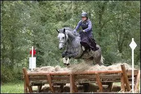 Pourquoi dit-on que le cross est différent du C.S.O ?