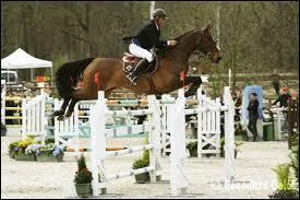 En quoi consiste le C.S.O ?