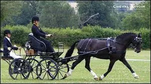 Qu'est-ce que cette discipline ?