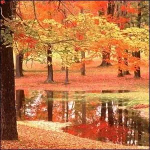 L'étymologie du mot "rus" renferme peut-être un indice de couleur. Lequel ?