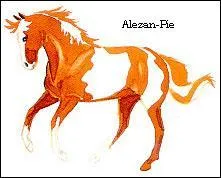 Quel est le nom de cette robe ?