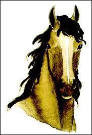 Quelle attitude faut-il avoir avec ce cheval ?