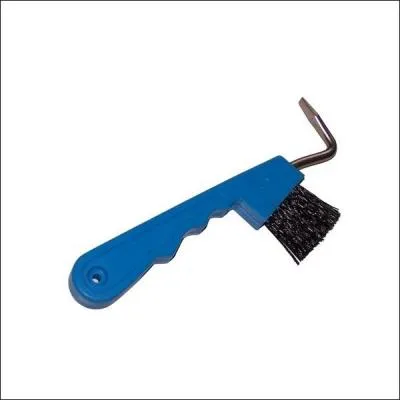 Quel est le nom de cet outil de pansage ?