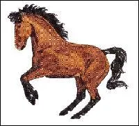 Quel est le nom de cette robe ?