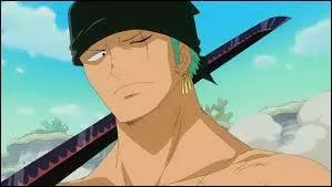 [<---Piège] Dans l'équipage de Luffy, qui utilise le Song Slash, dans trois pas tu meurs ?