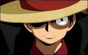 Qui entraîne Luffy pendant environ 2 ans ?