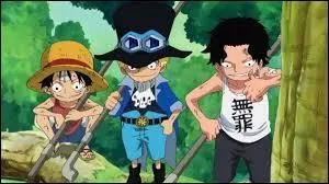 Quels sont les deux (faux) frères de Luffy ?