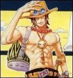 Ace a un fruit du démon du type ....