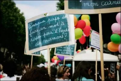 Christine Boutin s'oppose au projet de loi sur le statut des 'beaux parents'.  Le projet constate en effet, pour la premire fois, l'existence de: