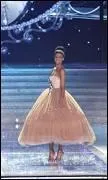 A qui a-t-elle succédé en tant que Miss France ?