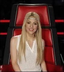 Quels sont ses genres musicaux ?