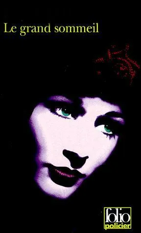 Qui est l'auteur du roman "Le grand sommeil" ?