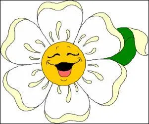 Connaissez-vous l'histoire du lit placard ?