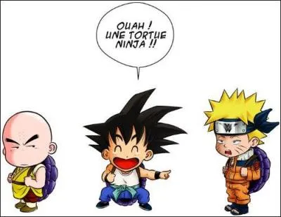 De qui Sangoku se moque-t-il en disant que c'est une tortue ninja ?