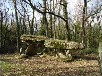 Dans nos villes et villages, que signifiait le verbe se cabaner?