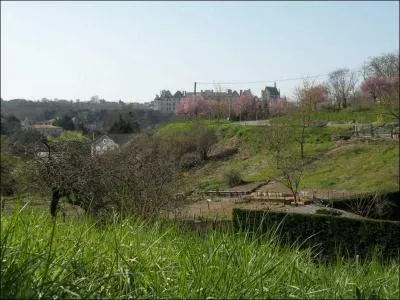 Qu'est-ce qu'était autrefois dans ma région la signification du verbe ripouler?