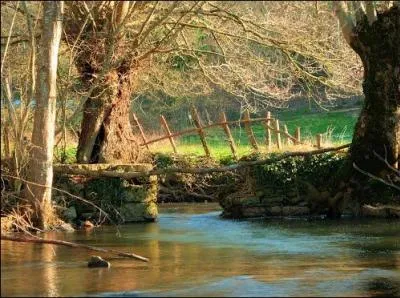 Vers 1900, dans ma région, que faisait-on lorsque l'on seréillounait?