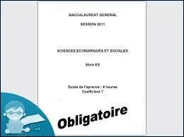 Epreuve de Sciences Economiques et Sociales (SES) : quelle est la définition d'un bien libre ?