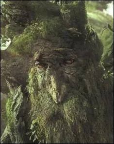 Par qui ont été créés les Ents ?