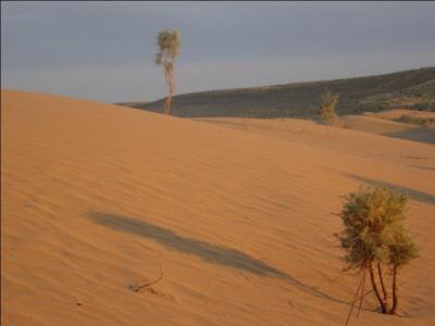 Comment les dunes en forme de croissant du grand désert du Karakoum au Turkménistan sont-elles appelées ?