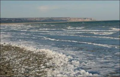 Vrai ou faux : la rive sud de la mer d'Aral a reculé de près de 50 kilomètres à cause du détournement des eaux d'un de ses affluents dans le canal du Karakoum.