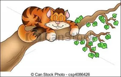 Quels animaux peut-on trouver perchés sur un saule ?