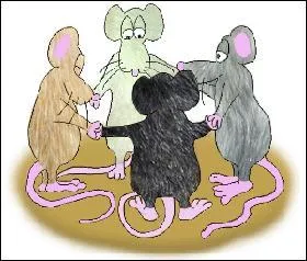 Quel animal est indispensable à la confection de vos quiz ?