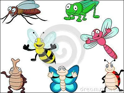 Quel animal avez vous à l'oreille si vous avez des soupçons ?