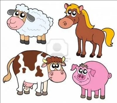 Quels animaux se planquent sous le lit avant que vous ne les délogiez à coups de balai ?