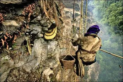 D'après ces paroles de Georges Brassens, et la photo, trouvez le nom caché : Sous le jupon de la pauvre Hélène - Sous son jupon mité - Moi j'ai trouvé des jambes de reine - Et je les ai gardées !