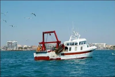 Comment dit-on "chalutier" en anglais?