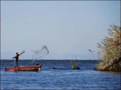 Que signifie "overfishing"?