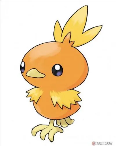 Quel est ce Pokémon?