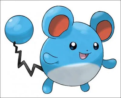 Quel est ce Pokémon?