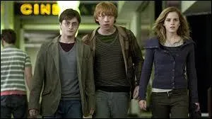 Quelle est la destination de nos trois amis après leur fuite du ministère ?