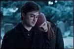 Quel jour voit Hermione et Harry partir pour Godrics Hollow ?