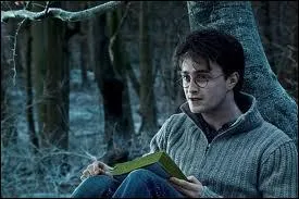 Combien de personnes se transforment en "Harry" grâce au polynectar ?