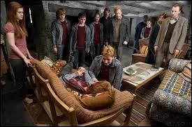 Lequel des deux frères Weasley a perdu une oreille ?