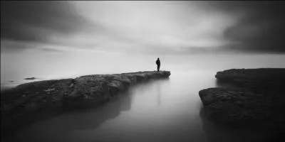 Qui chantait "The sound of silence" ?