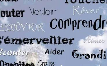 Quiz Grammaire