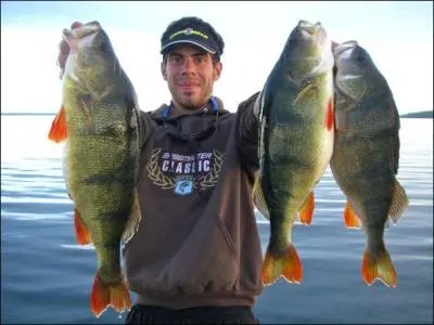 Pour ce qui concerne ce sport, nous avons un champion exceptionnel en France !