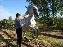 Quel est le nom de ce tour ?