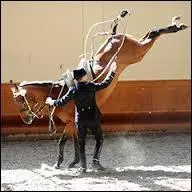 Quel est le nom de ce tour ?