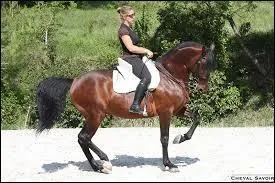 Quel est le nom de ce tour ?