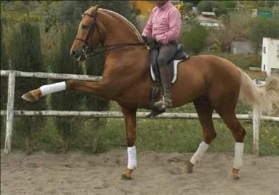 Quel est le nom de ce tour ?