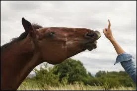 Quel est le nom de ce tour ?