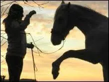 Quel est le nom de ce tour ?