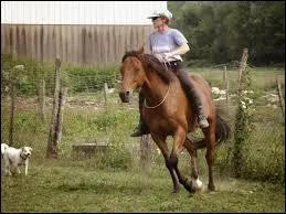 Quel est le nom de cette activité ?